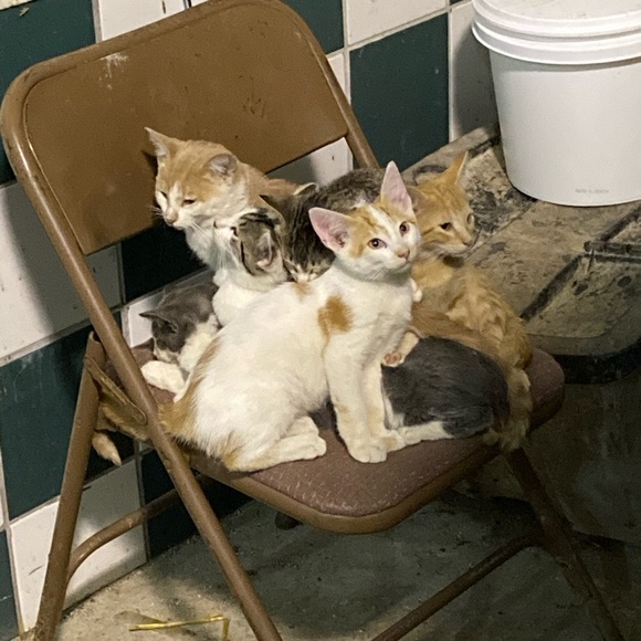 Meet your Posher, Christine - Picture 15 of 16